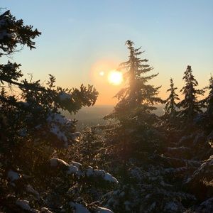 Meet your Posher, Luke